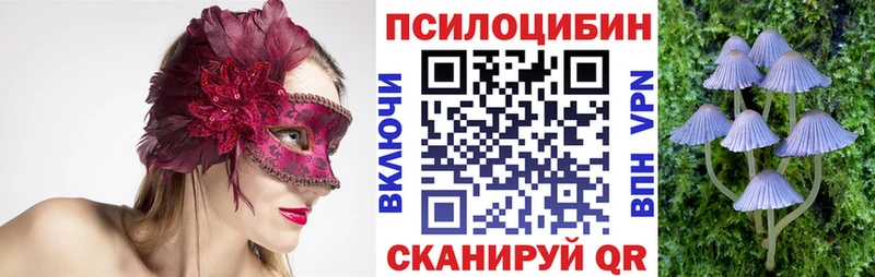 Галлюциногенные грибы Psilocybe  Шарыпово 